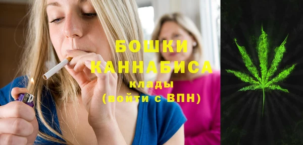 гидра Белоозёрский