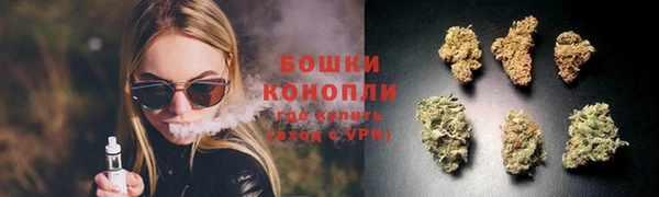 гидра Белоозёрский