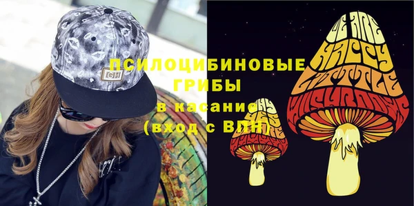молекула духа Богородицк
