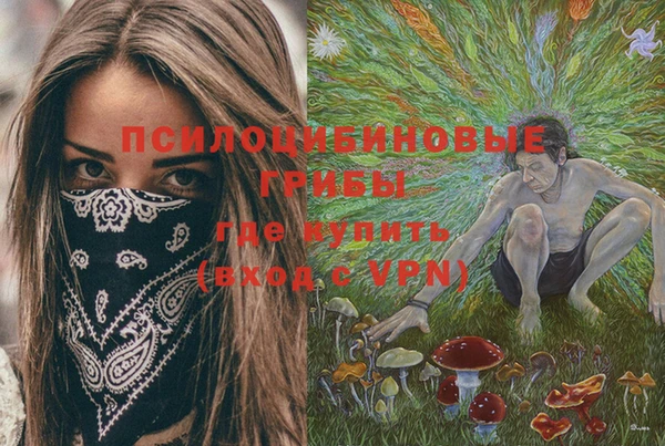 молекула духа Богородицк