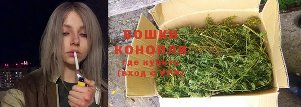гидра Белоозёрский