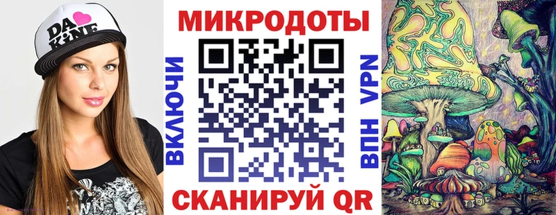 закладки  Малая Вишера  Галлюциногенные грибы Psilocybine cubensis 